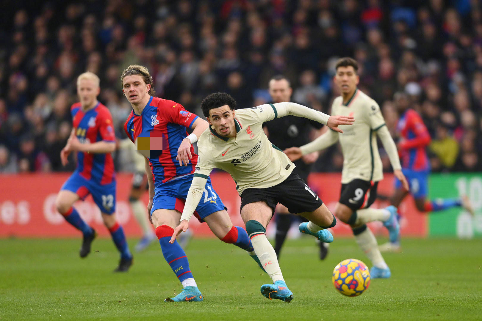 库利巴利在 库利巴利在